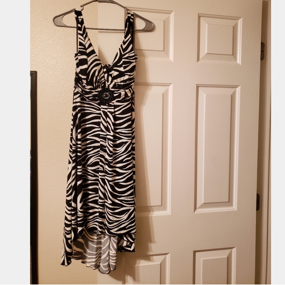 Zebra Dress